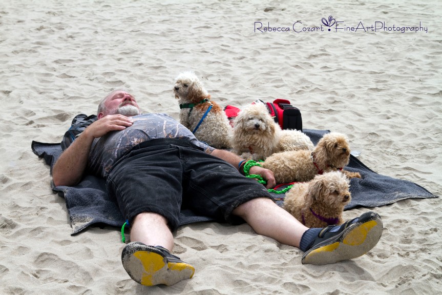Beach - Guy on Beach with dogs